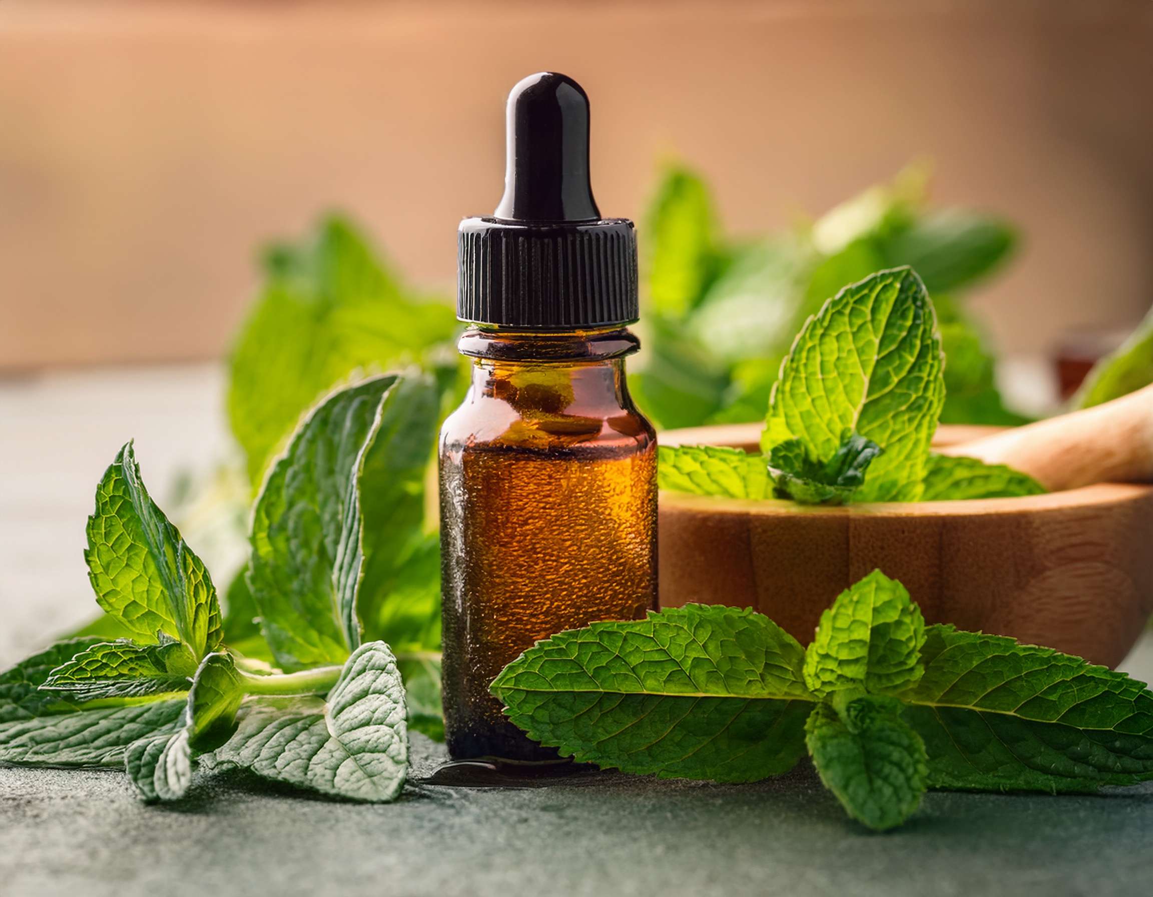 firefly generate an image of peppermint essential; aromatherapy concept and calming plant wit 560403