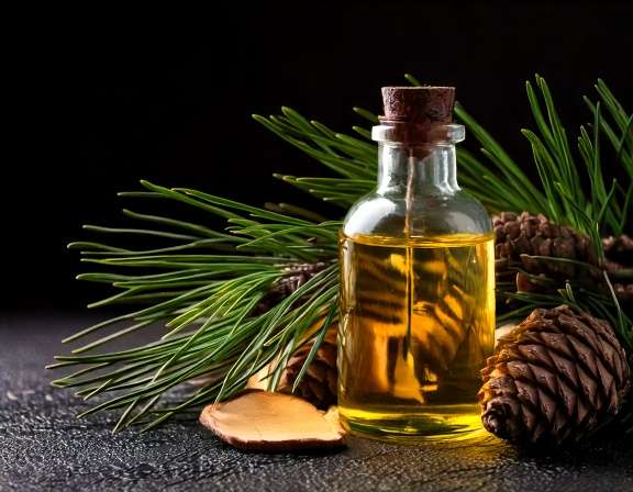 Pine Essential Oil for Seasonal Freshness at Home