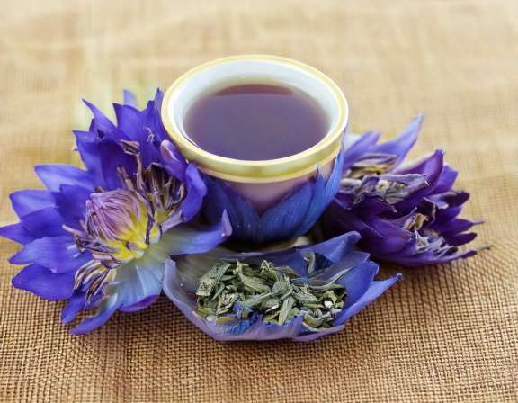 firefly generate an image of blue lotus herbal tea; alternative medicine; healthy lifestyle; 874529