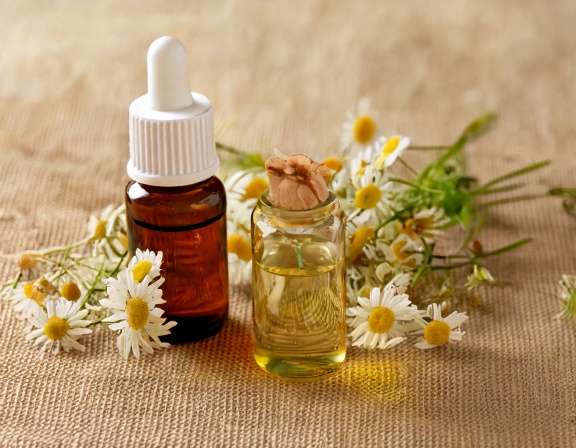 Roman Chamomile Essential Oil Blends for Stress Relief