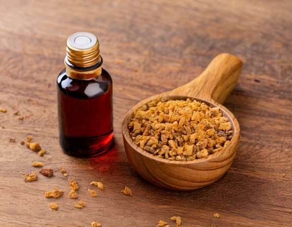 Frankincense Essential Oil for a Grounded Home Atmosphere