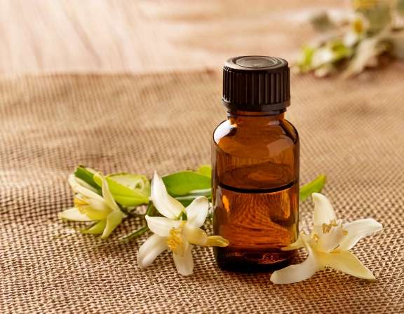 firefly generate an image of neroli essential oil ; aromatherapy concept, cozy home and tranq 498550