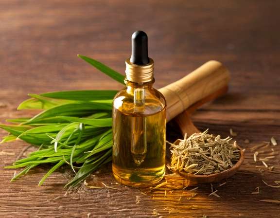 firefly generate an image of vetiver essential oil; aromatherapy concept, herbal ingredients, 303399