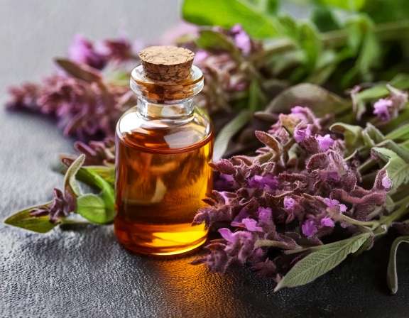 firefly generate an image of clary sage essential oil; aromatherapy, perfumery, natural cosme 498550