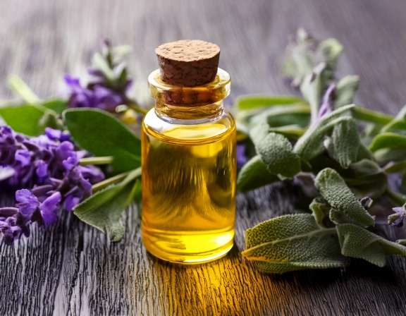firefly generate an image of clary sage essential oil; aromatherapy, perfumery, natural cosme 874529