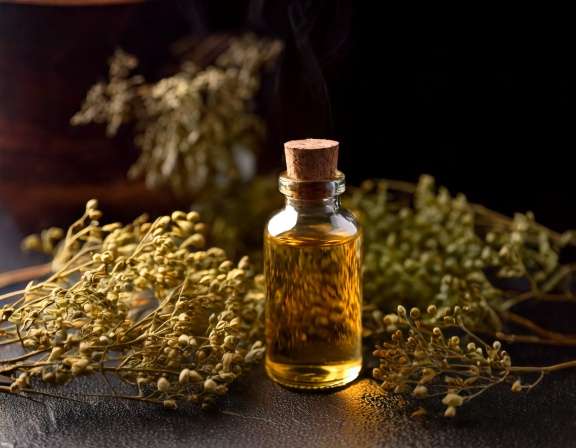Hinoki Essential Oil for a Calmer Evening Routine