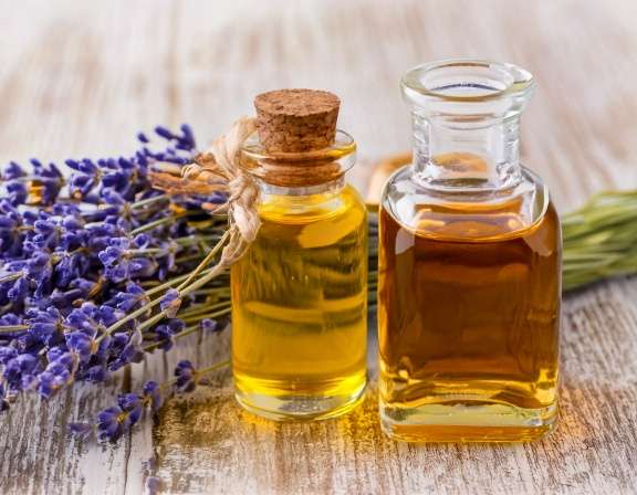 Top 7 Essential Oils for Anxiety Relief