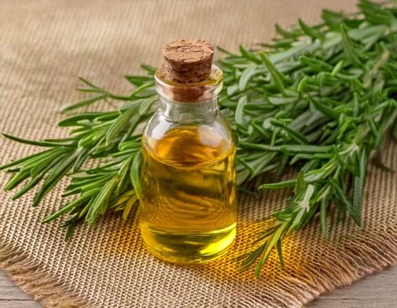 firefly generate an image of rosemary essential oil for hair use; natural organic cosmetic; c 560403 2