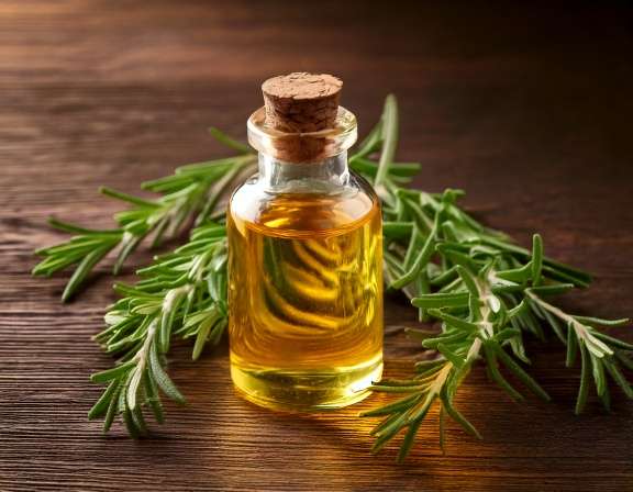 How to Create a Rosemary Oil Scalp Massage Blend