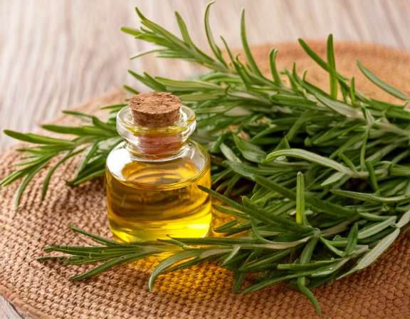 firefly generate an image of rosemary essential oil for hair use; natural organic cosmetic; c 954113 2