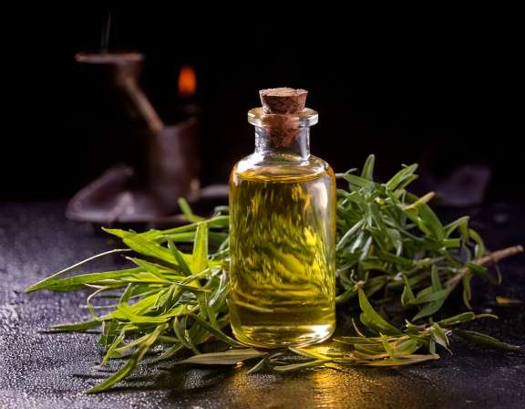 Vetiver Essential Oil: Your Natural Sleep Aid