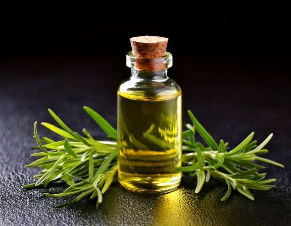 Vetiver Essential Oil for Stress: Benefits and Limits