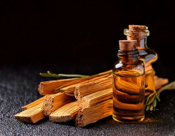 Discover the Benefits of Palo Santo Essential Oil