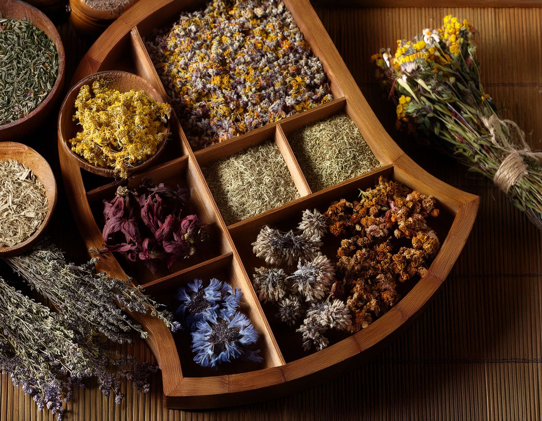Cat’s Claw Uses, Benefits, and Safety for Everyday Wellness
