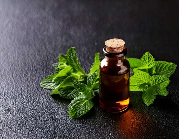 Essential Oils for Constipation Relief: Top 10 Choices