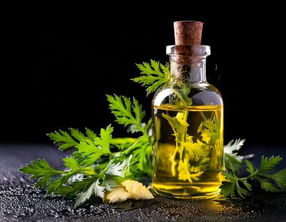 DIY Bug-Repellent Essential Oil Recipes for Summer
