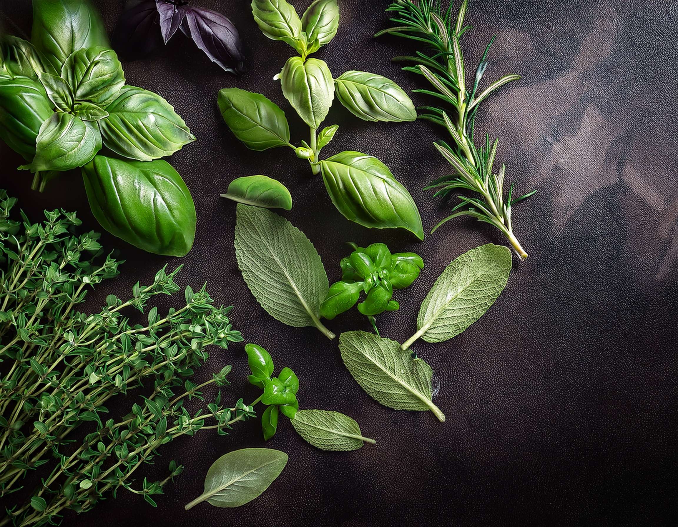 Sage Herb Uses, Benefits, and Easy Recipes