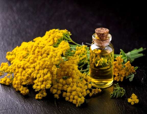 Beginner’s Guide to Helichrysum Essential Oil for Massage