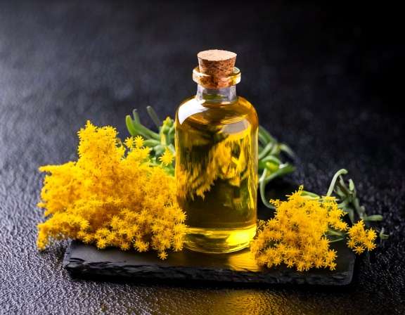 Helichrysum Essential Oil: Natural Pain Relief Benefits