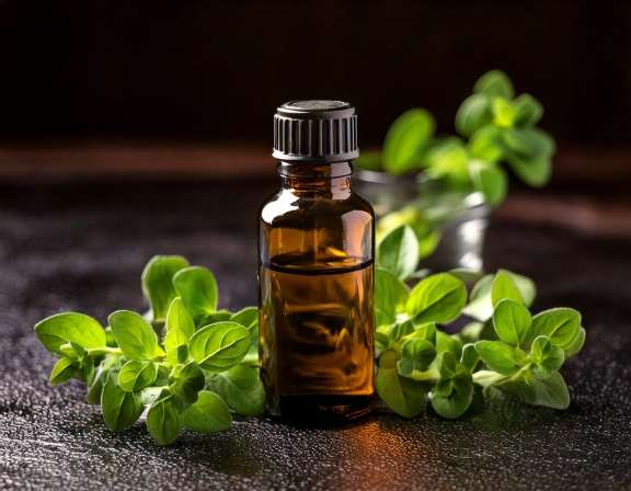 Health Benefits of Marjoram Essential Oil