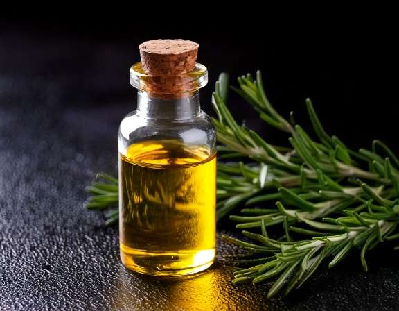 Rosemary Essential Oil for Hair: Benefits, Recipes, and Safety