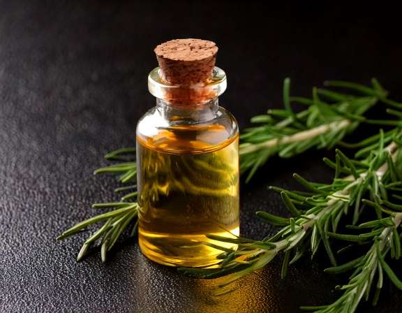 7 Rosemary Essential Oil Benefits for a Brighter Morning