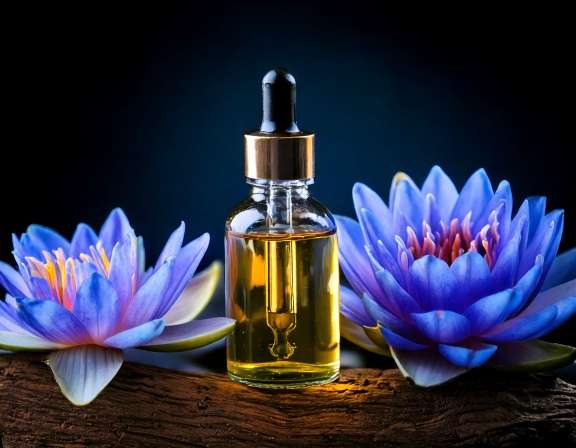 Blue Lotus Essential Oil: Benefits & Uses