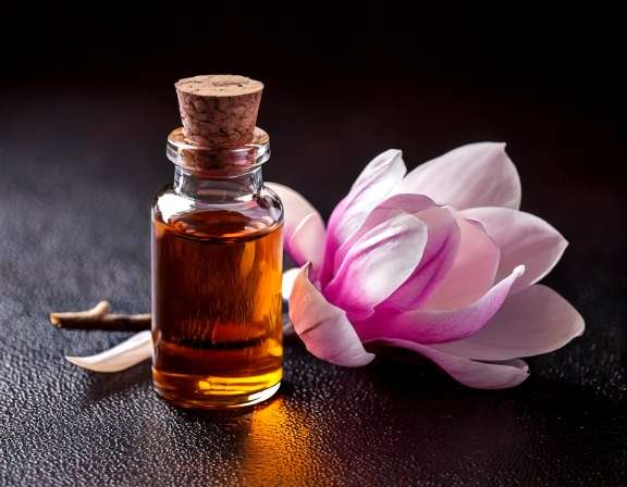 Magnolia Essential Oil: Unlocking Daily Wellness Benefits