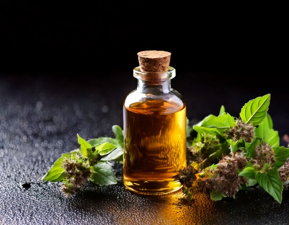 Holy Basil Essential Oil: A Calming Aroma for Busy Lives